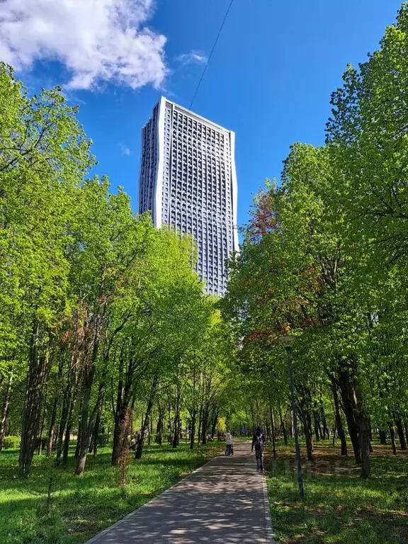 Студия Москва проезд Серебрякова, 11к2 (30.0 м) - Фото 0