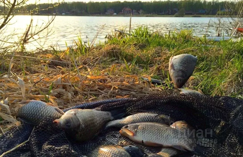 Участок в Московская область, Чехов  (6.0 сот.) - Фото 1