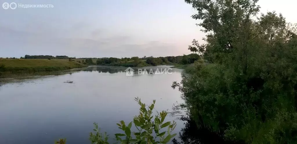 Участок в Суздальский район, муниципальное образование Селецкое, СНТ ... - Фото 1