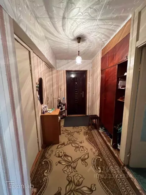 2-к кв. Камчатский край, Елизово Авачинская ул., 4 (55.9 м) - Фото 2