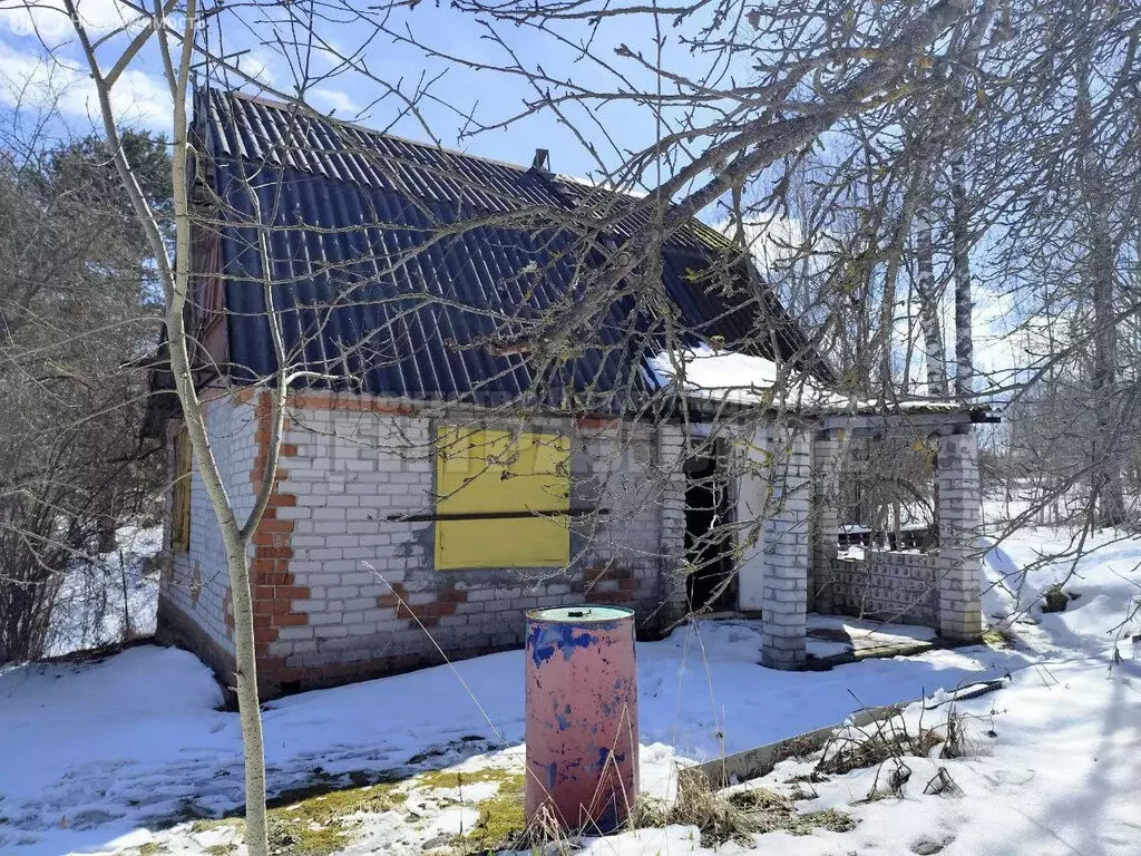 Дом в Смоленский муниципальный округ, СТ Водник (51.5 м) - Фото 1