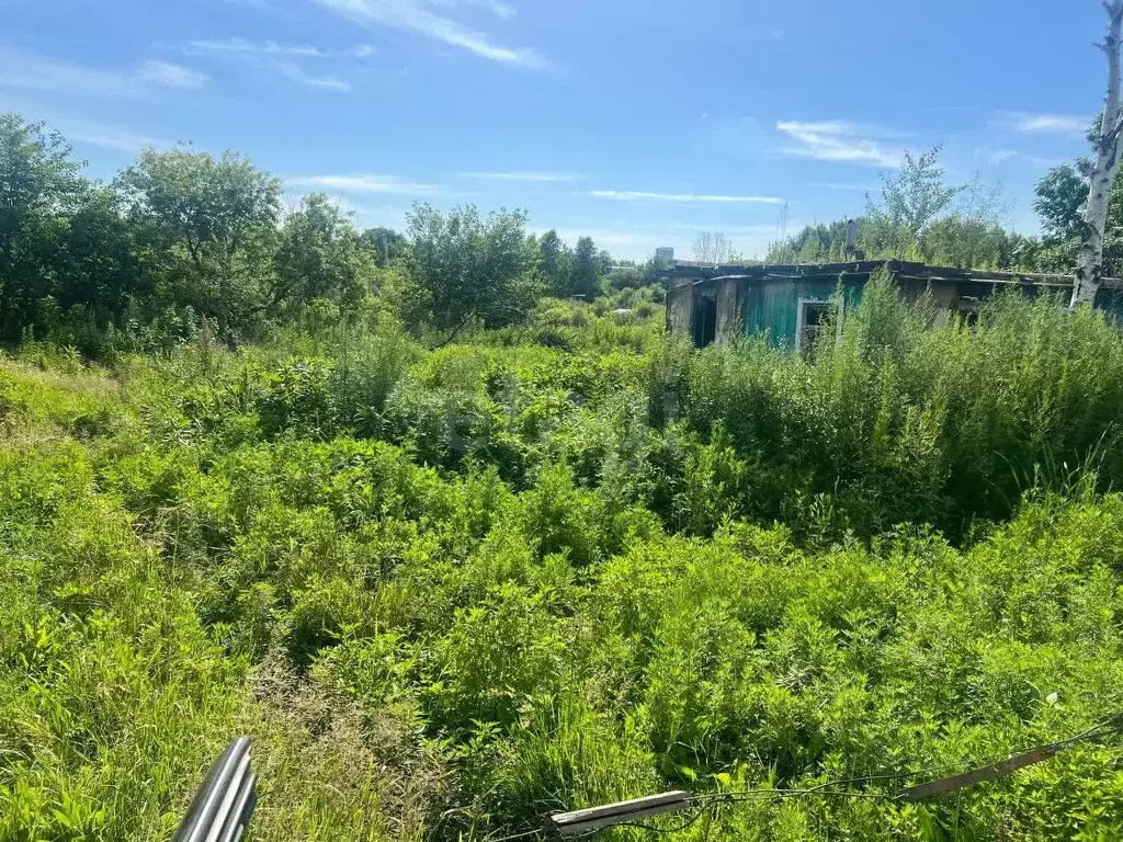 Участок в Хабаровский край, Хабаровск Хинганская ул., 37 (6.7 сот.) - Фото 1