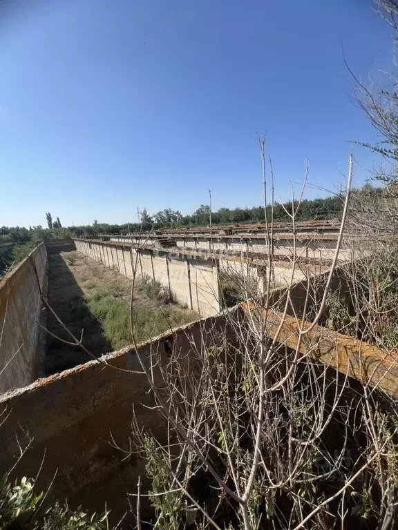 Производственное помещение в Саратовская область, Энгельсский район, ... - Фото 0