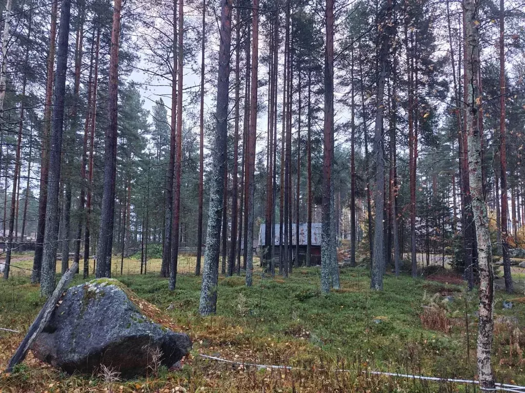 Участок в Карелия, Медвежьегорск ул. Озерная, 35А (7.0 сот.) - Фото 1