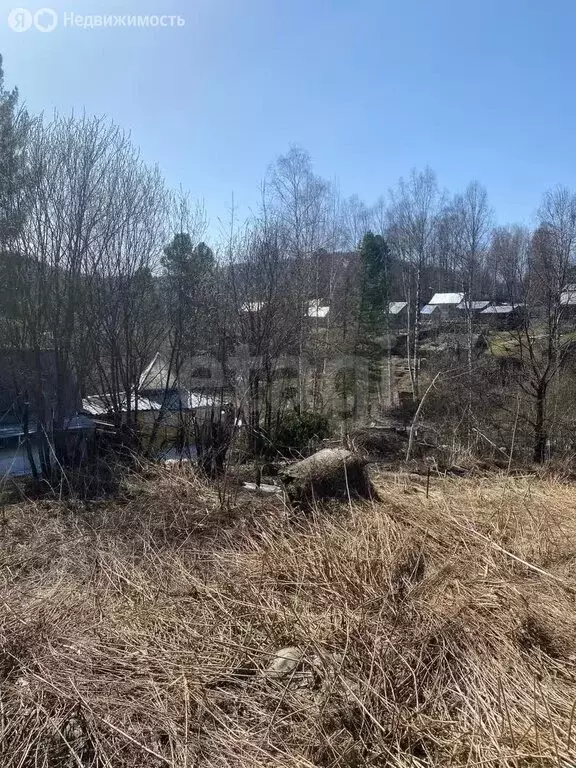 Участок в Междуреченск, СНТ Знамя Шахтёра, Еловая линия (15 м) - Фото 1