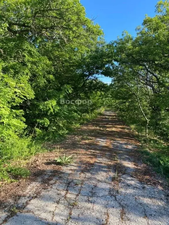 Участок в Крым, Феодосия городской округ, с. Краснокаменка ул. Лесная ... - Фото 0