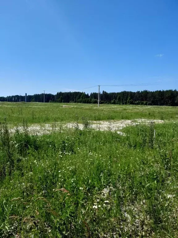 Участок в Брянская область, Брянский район, д. Дубровка  (10.08 сот.) - Фото 1