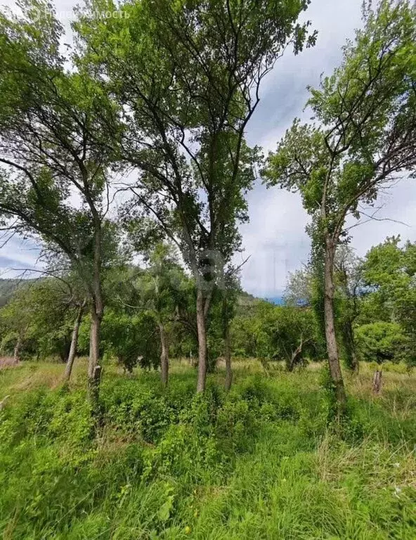 Участок в Чемальский район, СНТ Радуга Жизни (16 м) - Фото 2