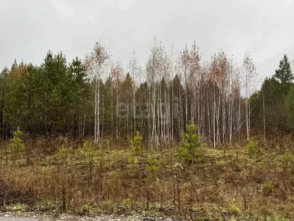 Участок в Свердловская область, Талица ул. Луначарского (10.6 сот.) - Фото 0
