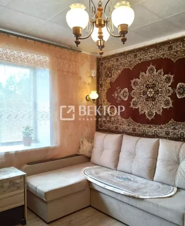 1-к кв. Костромская область, Кострома Юбилейный мкр, 30 (18.2 м) - Фото 2