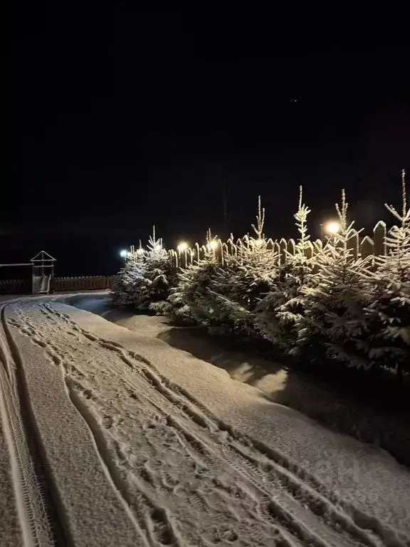 Дом в Ленинградская область, Выборгский район, Полянское с/пос, пос. ... - Фото 2