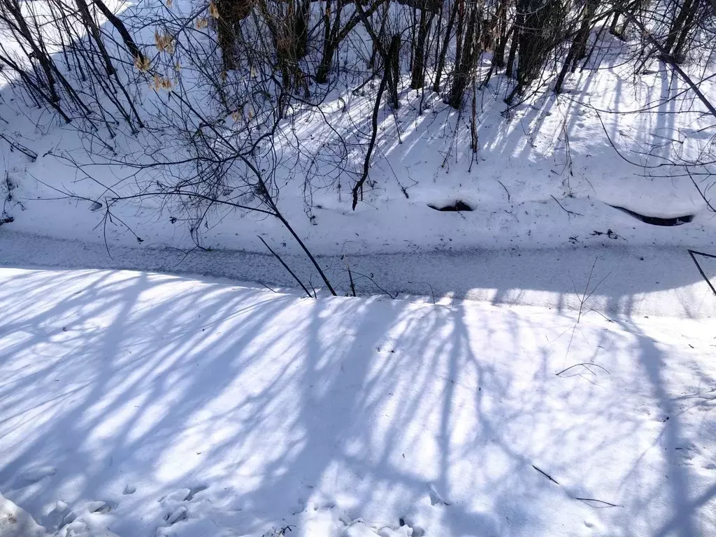 Участок в Новосибирская область, Новосибирск Темп СНТ, аллея ... - Фото 2