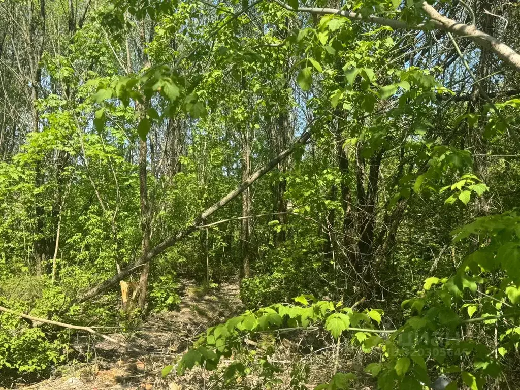 Участок в Московская область, Солнечногорск городской округ, Поварово ... - Фото 1