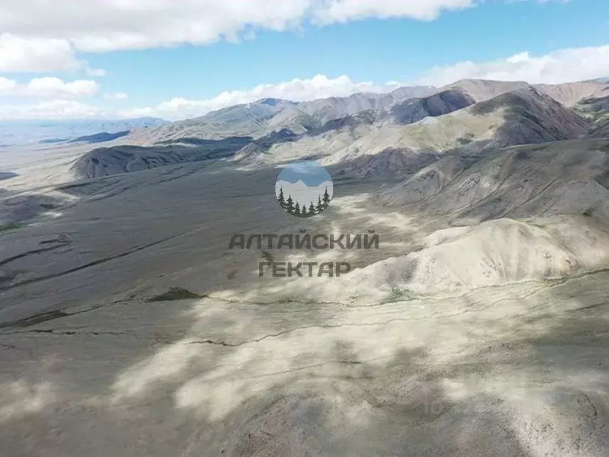 Участок в Алтай, Кош-Агачский район, с. Теленгит-Сортогой  (1016.0 ... - Фото 1