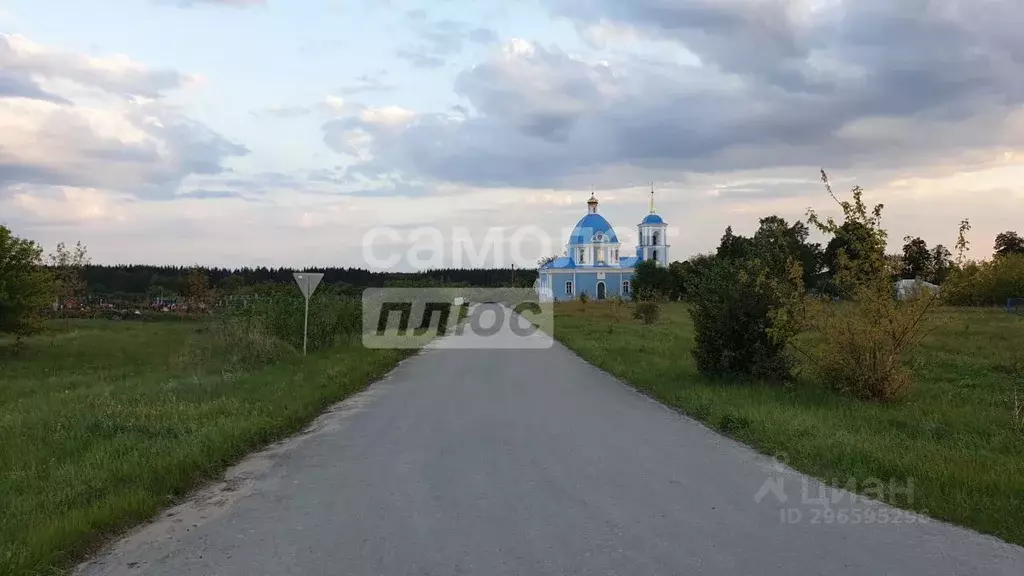 Участок в Липецкая область, Задонский район, Скорняковский сельсовет, ... - Фото 2