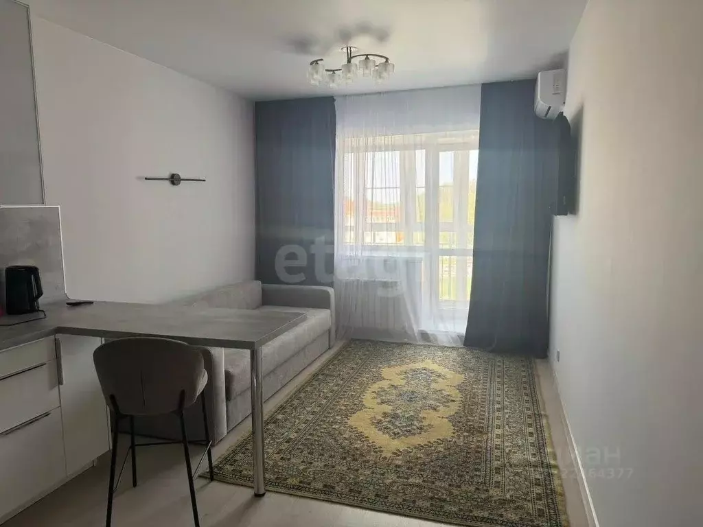 Студия Хабаровский край, Хабаровск ул. Алексеевская, 64 (23.9 м) - Фото 1