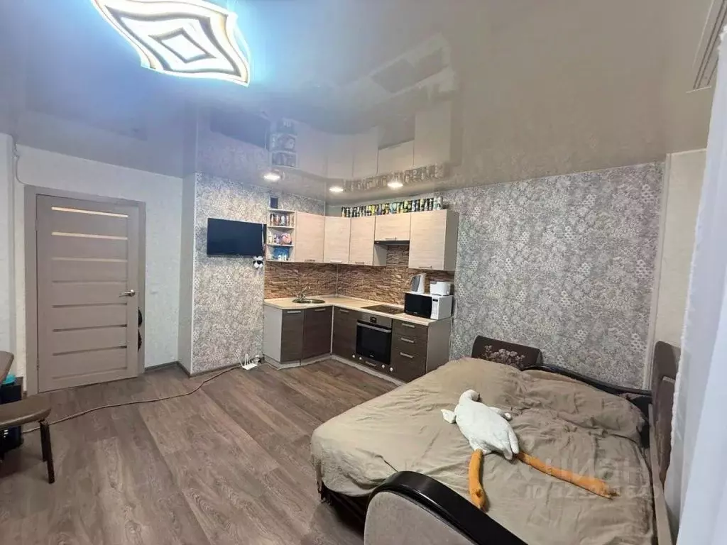 Студия Нижегородская область, Нижний Новгород Победная ул., 6 (26.9 м) - Фото 1