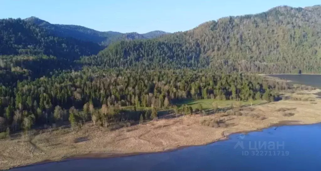 Участок в Алтай, Турочакский район, с. Артыбаш  (40.0 сот.) - Фото 1