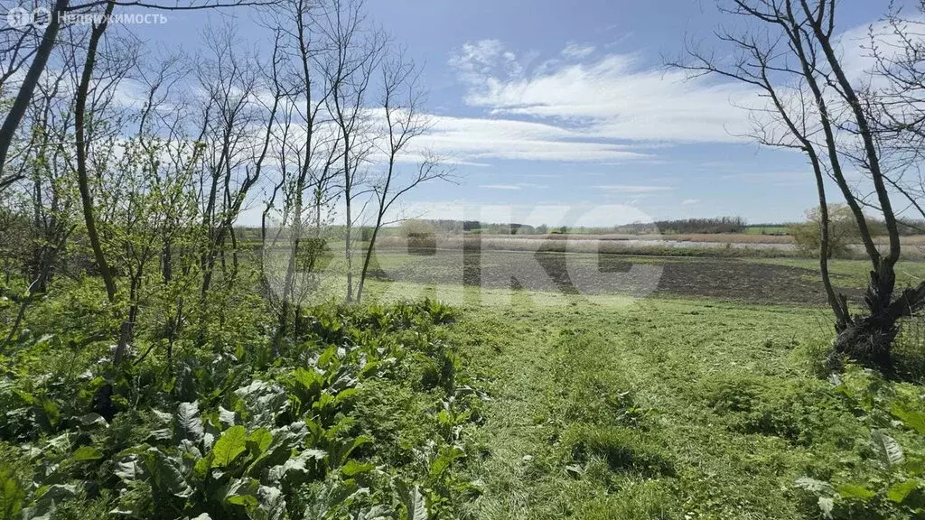 Участок в село Братковское, Степная улица, 46 (30 м) - Фото 2