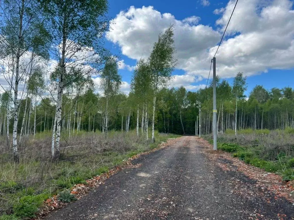 Участок в Тульская область, Тула городской округ, с. Архангельское ул. ... - Фото 0