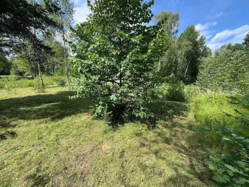 Участок в Ярославская область, Ярославский муниципальный округ, с. ... - Фото 1