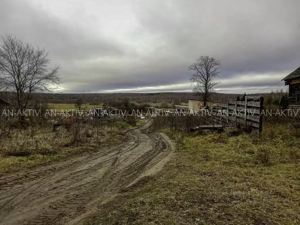 Участок в Ярославская область, Переславль-Залесский муниципальный ... - Фото 1
