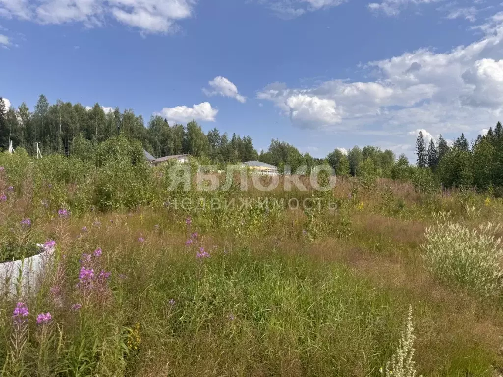 Участок в Пермский край, Березники муниципальный округ, пос. Николаев ... - Фото 2
