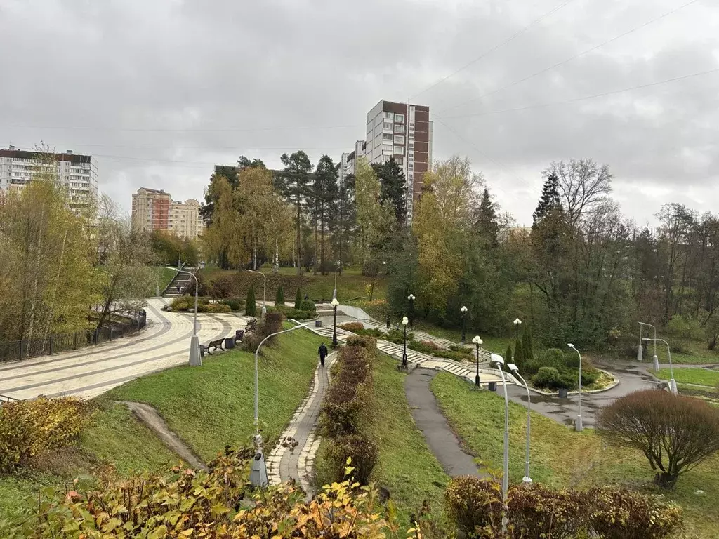1-к кв. Москва, Москва, Зеленоград к1619 (39.0 м) - Фото 2