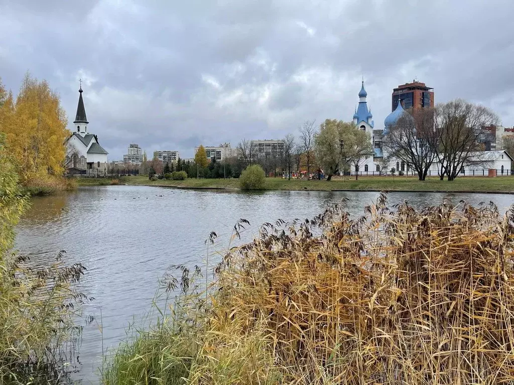 Студия Санкт-Петербург Пулковское ш., 14с6 (24.4 м) - Фото 1