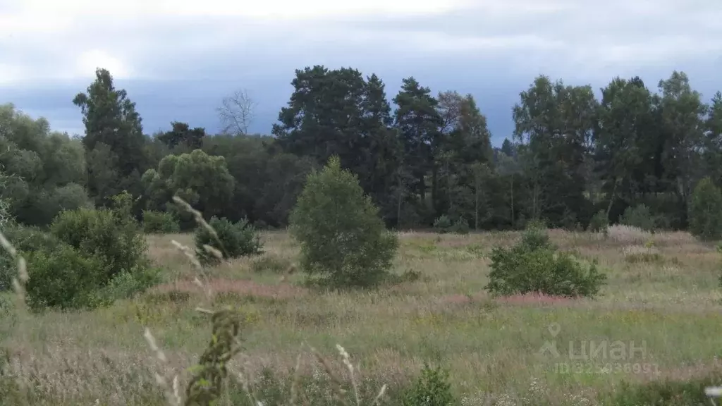 Участок в Московская область, Рузский муниципальный округ, д. ... - Фото 1