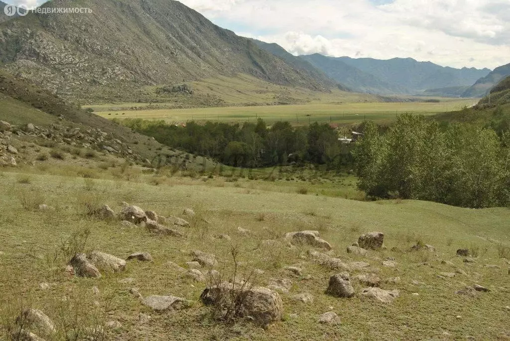 Участок в Онгудайский район, село Купчегень (2 м) - Фото 2