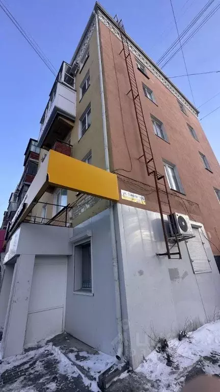 Помещение свободного назначения в Курганская область, Курган ул. ... - Фото 0