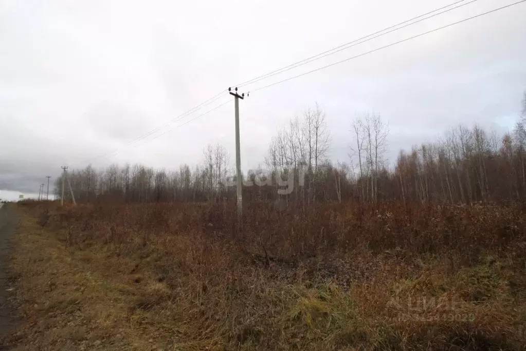 Участок в Свердловская область, Кушва  (15.4 сот.) - Фото 1