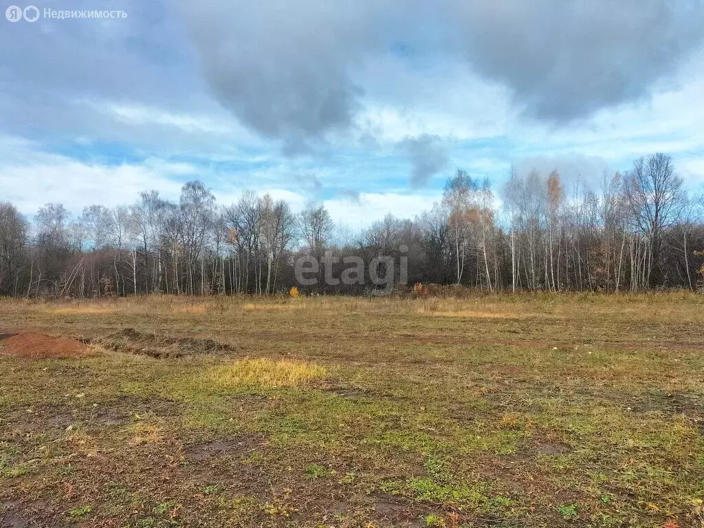 Участок в Хардиково, Берёзовая улица (17.1 м) - Фото 2