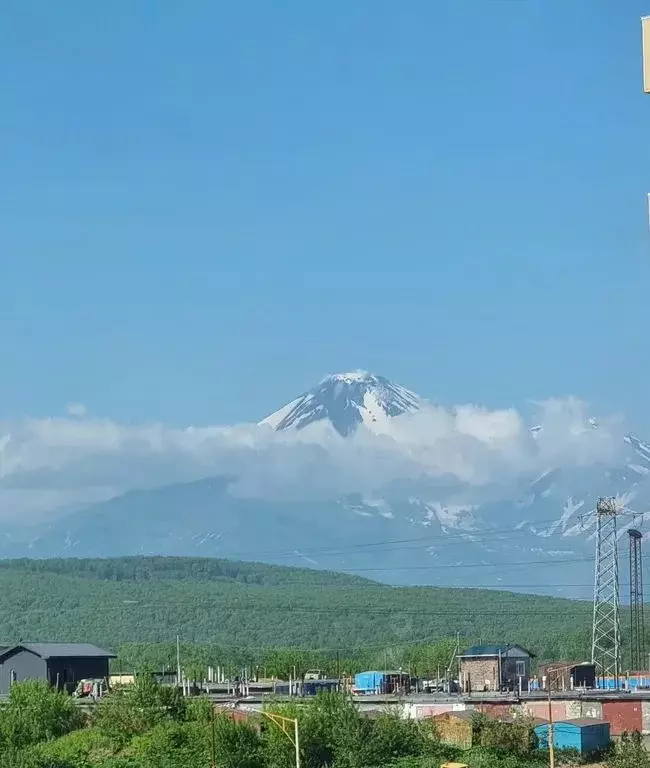 1-к кв. Камчатский край, Петропавловск-Камчатский Дальневосточная ул., ... - Фото 1