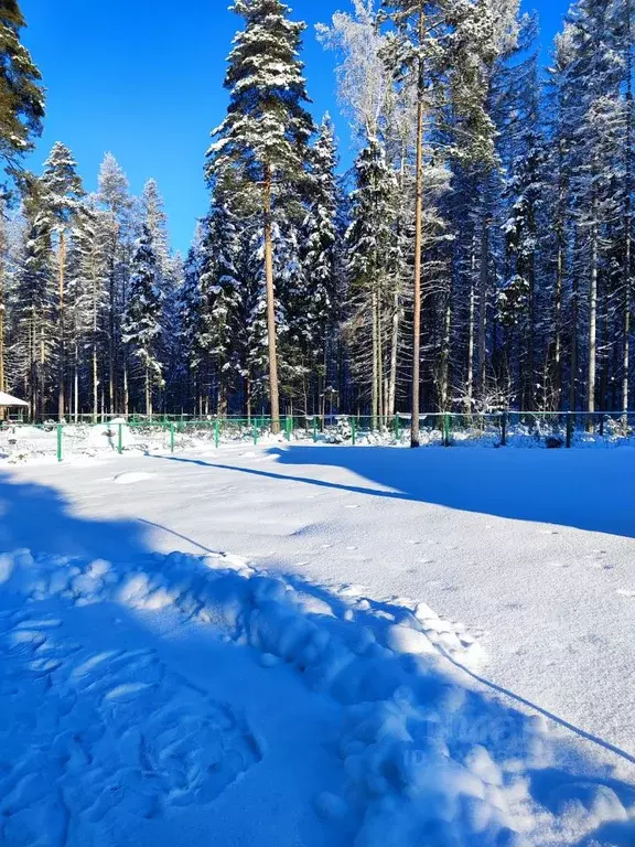 Участок в Ленинградская область, Выборгский район, Рощинское городское ... - Фото 1