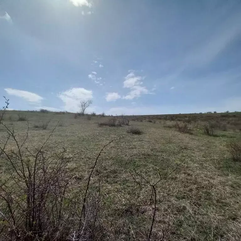Село камышинка