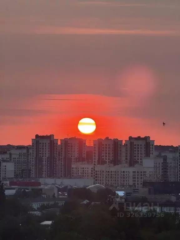 Студия Крым, Симферополь ул. Набережная имени 60-летия СССР, 75И (50.0 ... - Фото 1