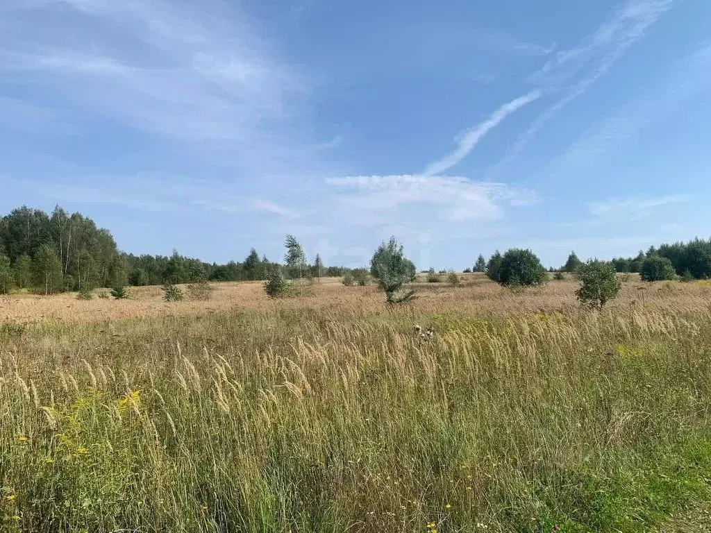 Участок в Калужская область, Ферзиковский муниципальный округ, ... - Фото 2