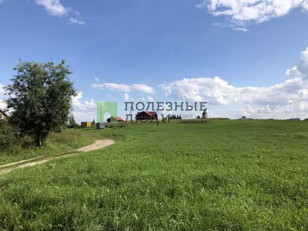 Участок в Архангельская область, Холмогорский муниципальный округ, д. ... - Фото 0