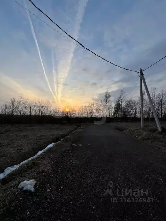 Участок в Ленинградская область, Ломоносовский район, Аннинское ... - Фото 0