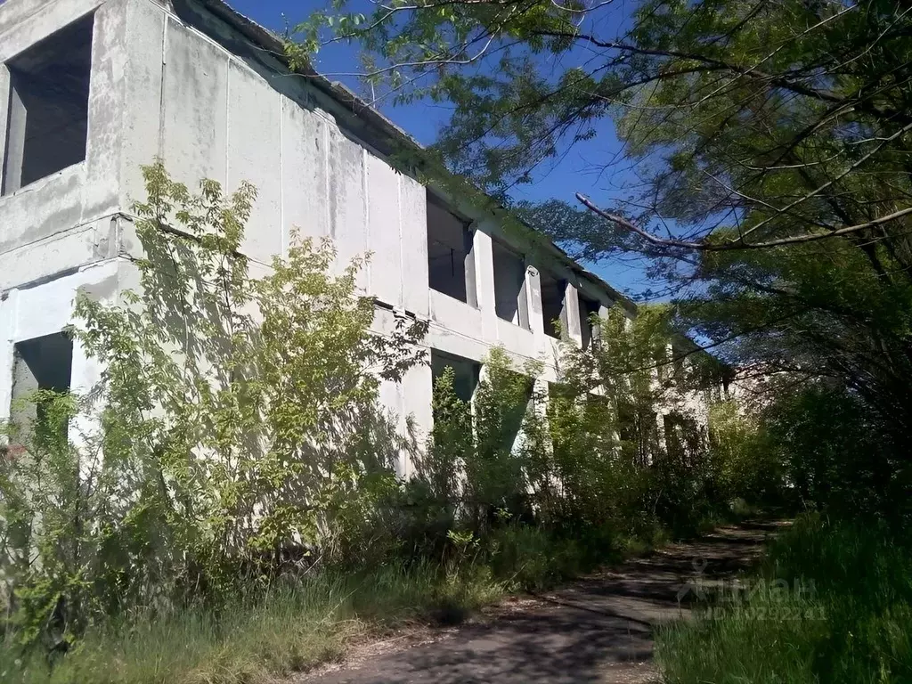 Помещение свободного назначения в Омская область, Омский район, . - Фото 1