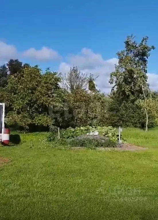 Участок в Калининградская область, Полесский муниципальный округ, пос. ... - Фото 1