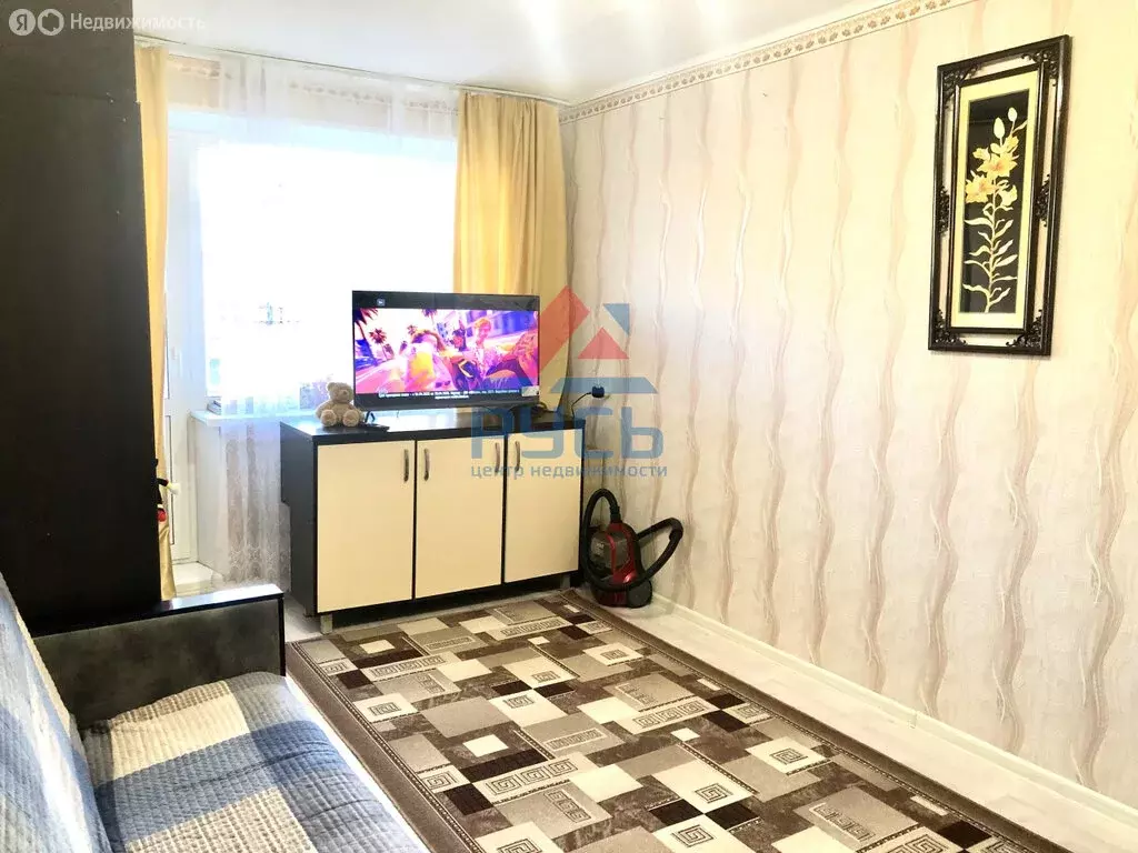 1-комнатная квартира: Коркино, улица Сони Кривой, 2 (29.7 м) - Фото 1