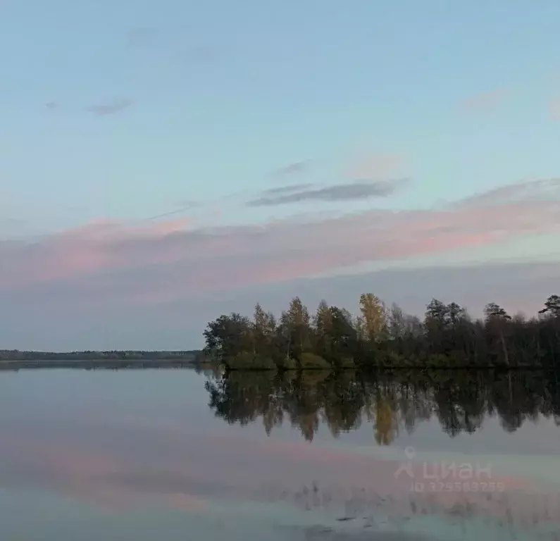 Участок в Ленинградская область, Выборгский район, Полянское с/пос, ... - Фото 1