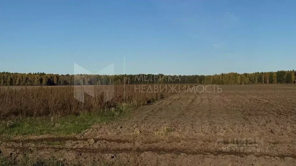 Участок в Тюменская область, Тюменский муниципальный округ, с. Каменка ... - Фото 2