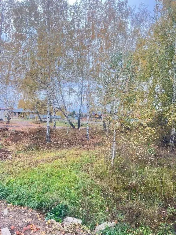 Участок в Татарстан, Лаишевский район, Столбищенское с/пос, ... - Фото 0