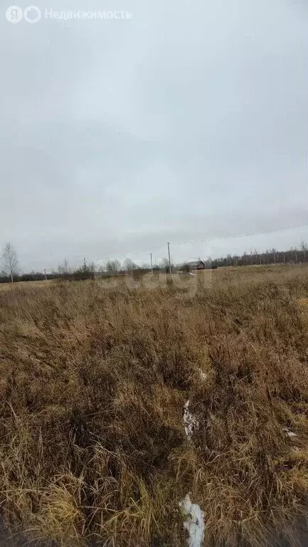 Участок в Кострома, Фабричный район (12.2 м) - Фото 2