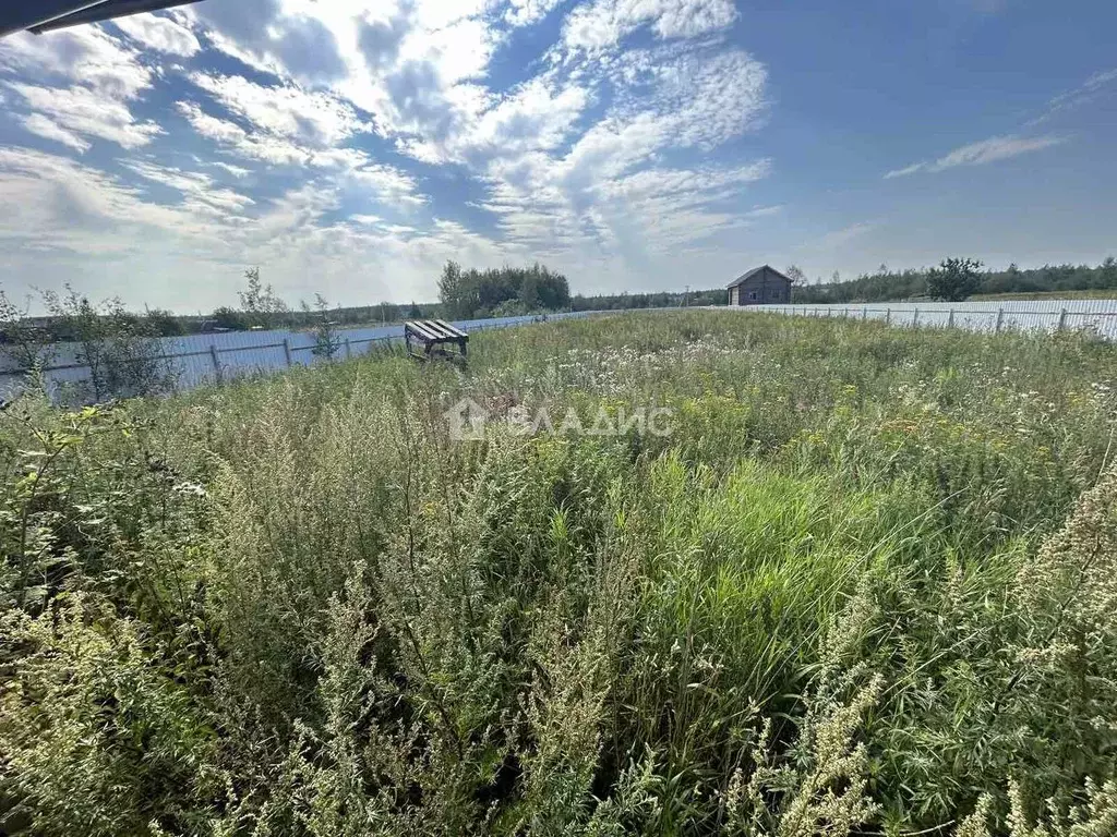 Участок в Владимирская область, Гусь-Хрустальный муниципальный округ, ... - Фото 1