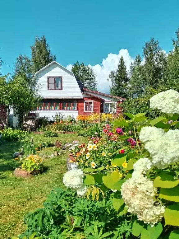 Дом в Ленинградская область, Киришский район, Глажевское с/пос, д. ... - Фото 0